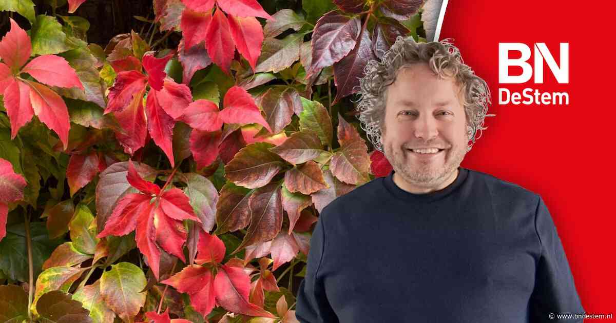 Het is pure herfstporno, dus mag dit alsjeblieft iets langer duren?