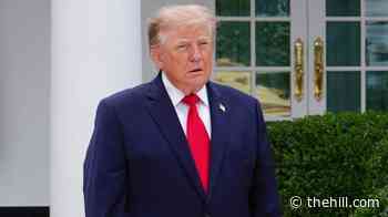 Main Trump legal fund $1.9M in debt
