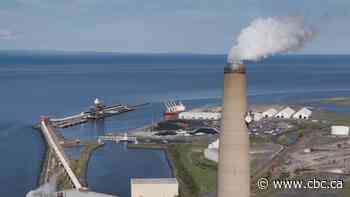 Belledune port sued for allegedly pulling out of explosives-factory deal at last minute