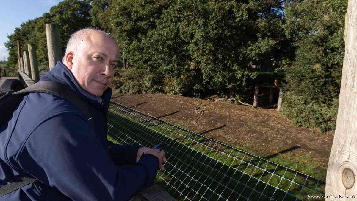 'I was first visitor to Yorkshire Wildlife Park after tiger tragedy - chilling realisation horrified me'