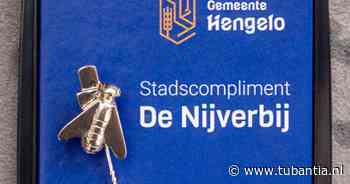 Dineke Mepschen is een verbinder in Hengelo, dus verdient ze een Nijverbij