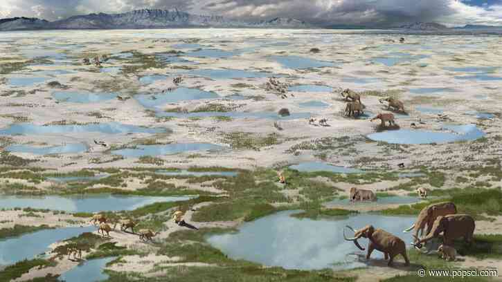 North America’s oldest human footprints tell a tale of ice age chaos