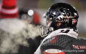 Gear Up For Game Day: NIU Huskies