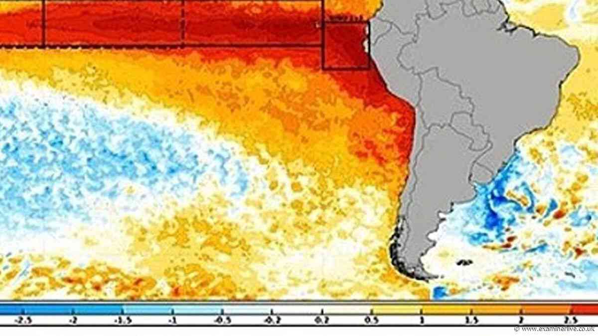 Super El Niño 'grows second arm' as Brits warned to stock up ahead of severe weather