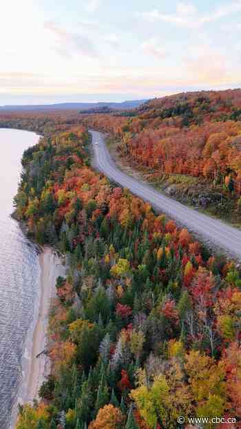 Where to find the best fall colours in Ontario