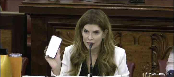 Speaker Menin confronts SpaceXAI after Grok creates sexualized image of her in under 30 seconds