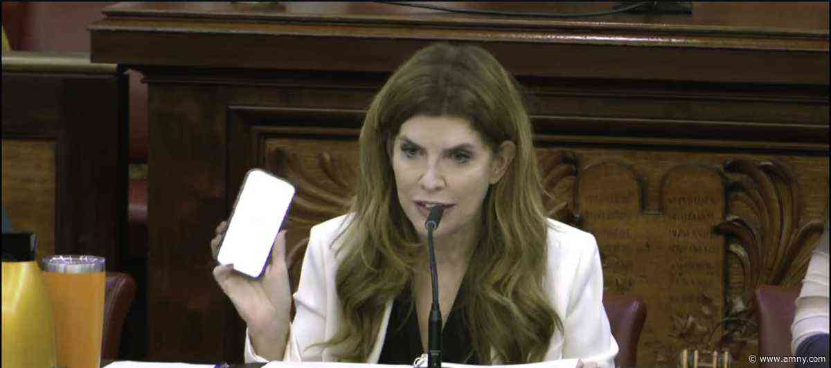 Speaker Menin confronts SpaceXAI after Grok creates sexualized image of her in under 30 seconds