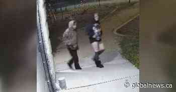 Winnipeg police seek 2 people of interest in relation to suspected arson