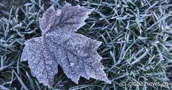 Environment Canada issues overnight frost advisory for Toronto