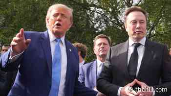 Trump claims neither he nor Musk caused Ukraine Starlink outage