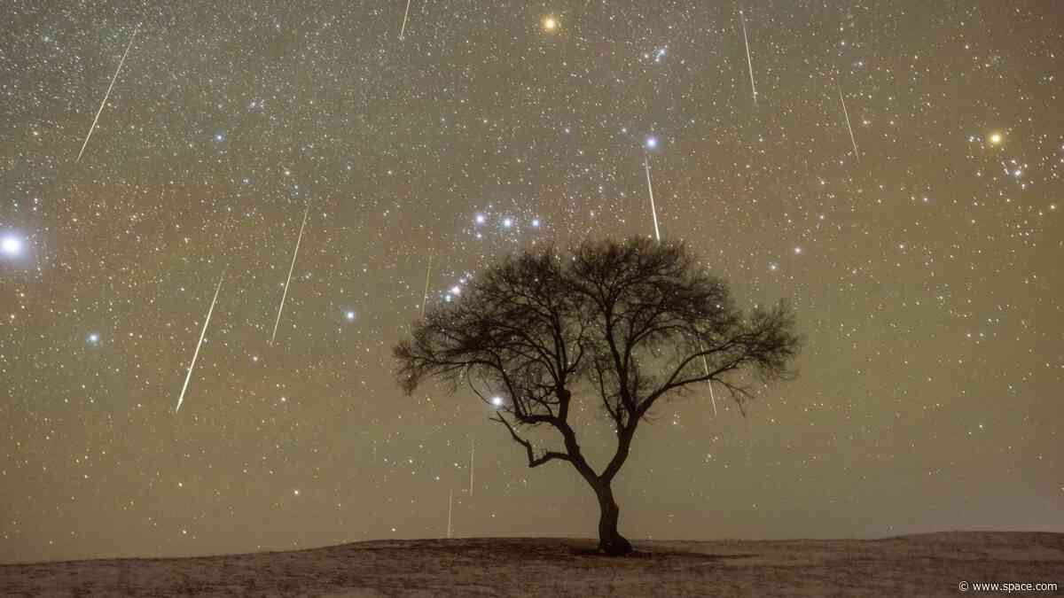 When not to watch a meteor shower — why I'm not staying up for the Orionids