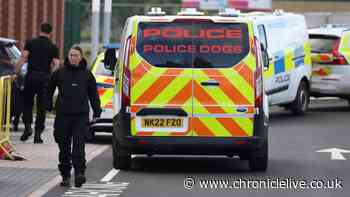 New Amble school to reopen after malicious communication believed to be hoax led to evacuation