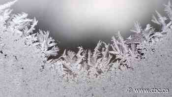 Frost advisory issued for parts of GTA: Environment Canada