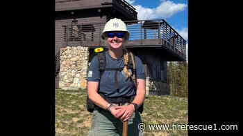 Wildland firefighter dies after being struck by tree during La. wildfire