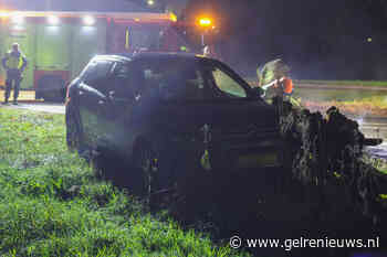 Automobilist botst tegen omgevallen rotte boom, brandweer zaagt boom in stukken