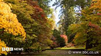 Top autumn walks as leaves expected to be more vibrant