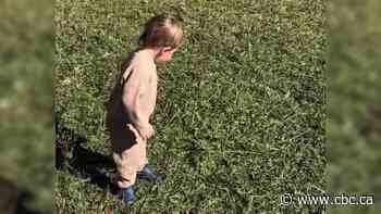 Ontario toddler recovering after rattlesnake bite, receiving 18 doses of antivenom