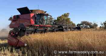 Headers roll across WA as crop forecast climbs towards 24 million tonnes