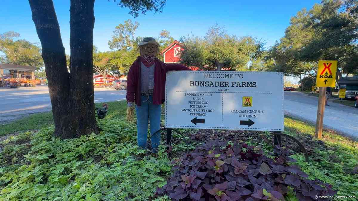 Hunsader Farms’ Pumpkin Festival opens after flooding canceled first weekend