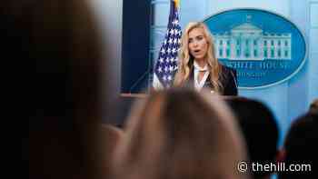 5 days of Katie Zacharia: The rapid fall of Trump's 'lawyer' press secretary 