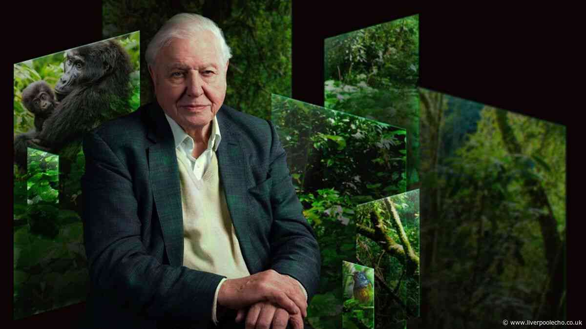 First look inside David Attenborough's £15 event at Chester Zoo