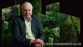 First look inside David Attenborough's £15 event at Chester Zoo