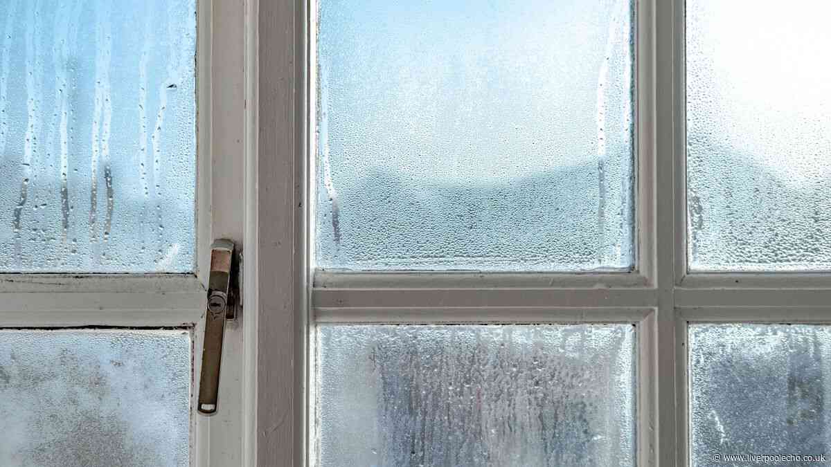 Windows will never be wet in the morning if you do 1 simple task that takes 5 minutes