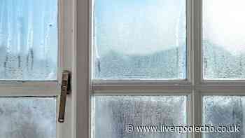Windows will never be wet in the morning if you do 1 simple task that takes 5 minutes