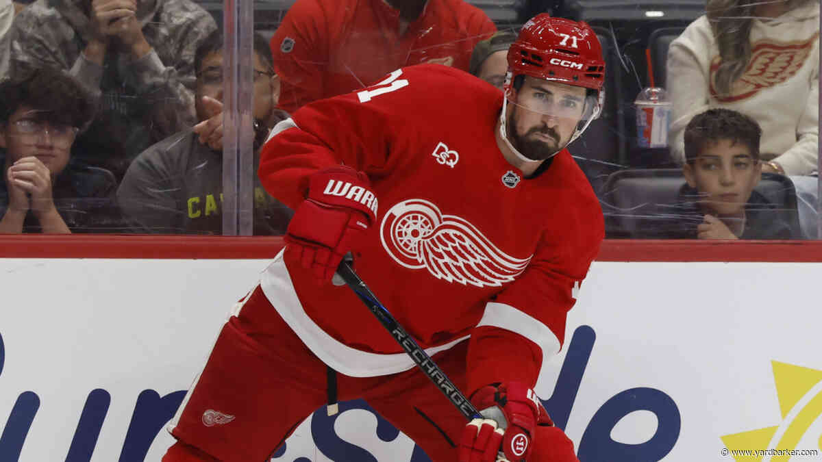 'I like Michael Hage, but Dylan Larkin is a safe bet.'