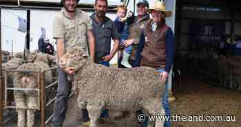 'Hardly a hole' in Hazeldean ram sale as southern clients invest in new sires