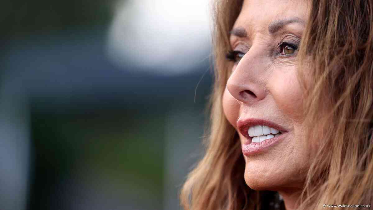 From abject poverty in Wales to Countdown via the dole, how Carol Vorderman became a national treasure