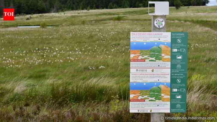 South Wales peatlands recorded signs of recovery after restoration work