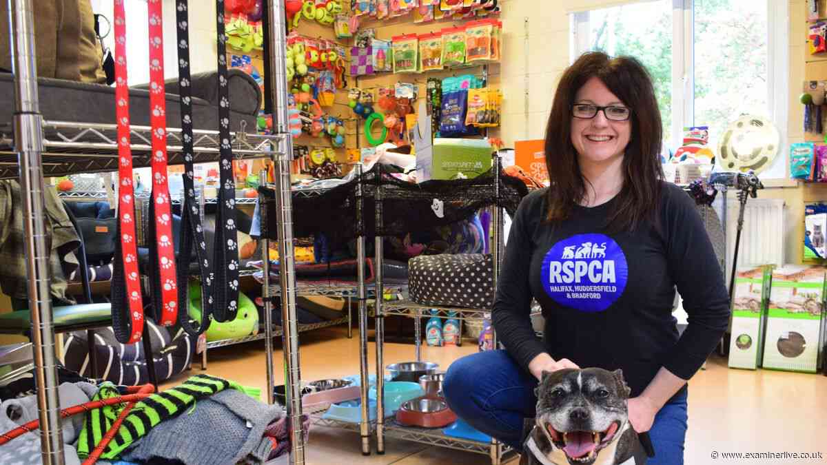 Inside Halifax RSPCA centre where kittens are dumped 'every week'