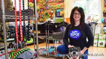 Inside Halifax RSPCA centre where kittens are dumped 'every week'