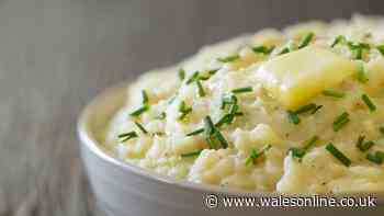 Ditch mashed potatoes for cosy, creamy parsnips — 'everyone will wants seconds'