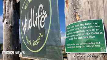 Wildlife park reopens after man killed by tiger
