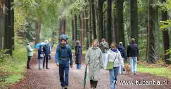 Zon en buien wisselen elkaar af in koud herfstweekend
