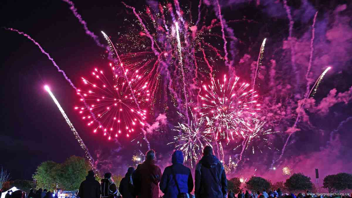Should fireworks be banned or are they seasonal fun?