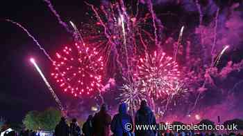 Should fireworks be banned or are they seasonal fun?