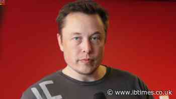 Elon Musk SpaceX Stock Outlook: $3,000 Could Become $7,500 by 2030, but Investors Face Major Risks