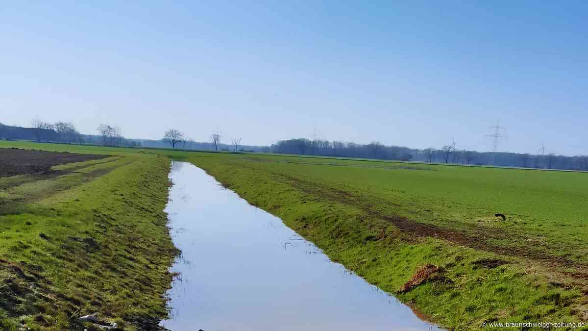 Nitrat in Flüssen: Gifhorner Landwirte wollen nicht als Umweltsünder gelten
