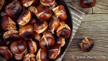 Der beste Herbst-Snack: Geröstete Maronen sind gesünder als Chips und schmecken super