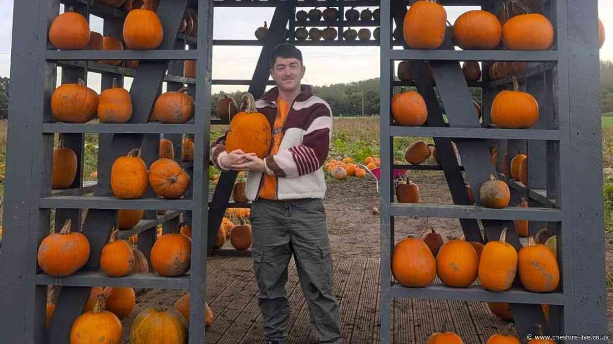 I visited the Cheshire pumpkin patch with donkeys that's worth getting up for