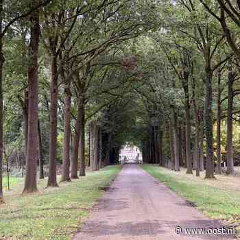Herfstpracht in bos en landgoed, maar pas op voor vallende takken na droge zomer