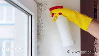 City tackles 1,800 cases of mould under new law