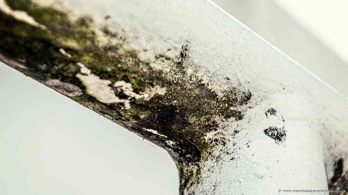 Expert shares 58p household item to help banish stubborn bathroom mould