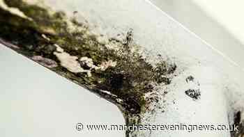 Expert shares 58p household item to help banish stubborn bathroom mould