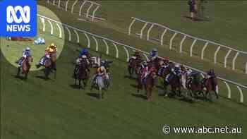 Breaking: Melbourne Cup winner Half Yours suffers nasty fall in Caulfield Cup