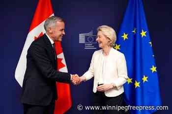 Carney’s ‘counterweight’ summit strategy