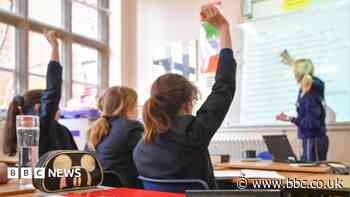 MP attacks council over SEND assessment delays